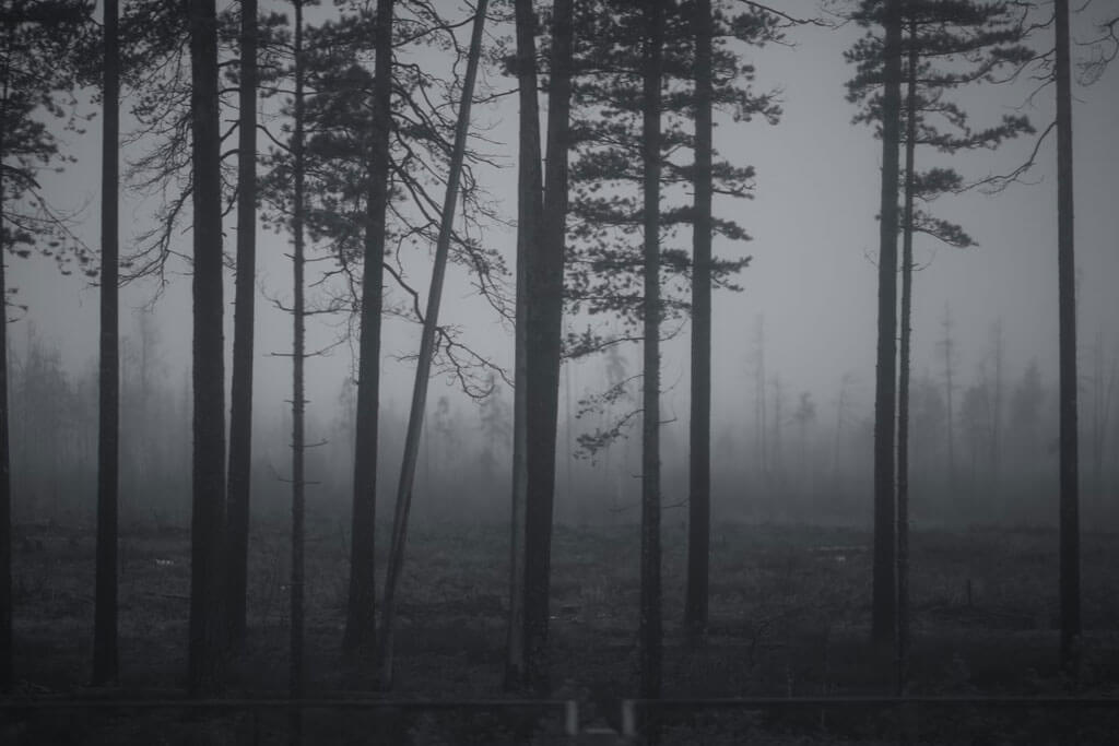 I FANTASMI DI ROGOREDO - SIMONE FEDER OFFICIAL